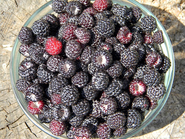 Raspberry Pi